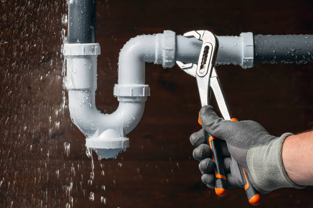 Professional Plumbing technician working in West Concord, MN